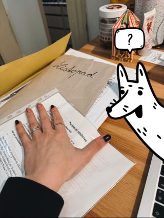 listopad ve zmámení, asi jsme se zbláznili! ⬇️ 🎙️ pořídila jsem si mikrofon (a nikdy ho nepoužila 😅) 📦 balili se krásné...